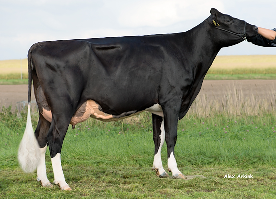 VH Sparky-datter fra Per Warming, Aars