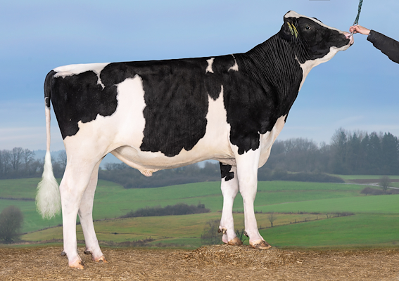 VH Spencer (VH Sandigo).jpg