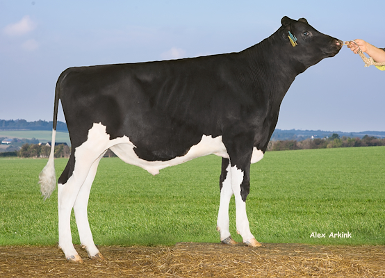 VH Spitz 5123 (VH Storm).jpg