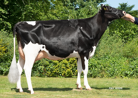 VH Spooky-datter fra Christian Bøgh, Hobro