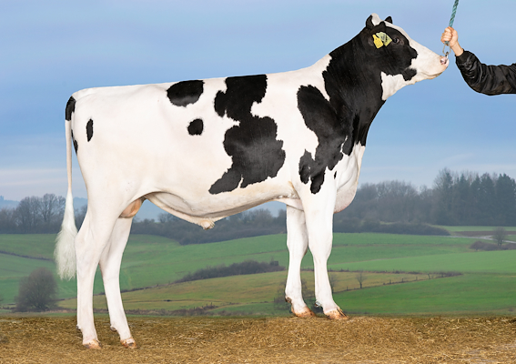 VH Stens (VH SimsPRC).jpg