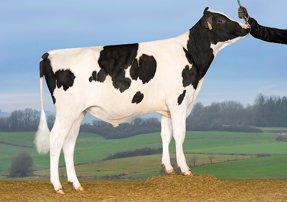 VH Style RC (Sega P RDC).jpg