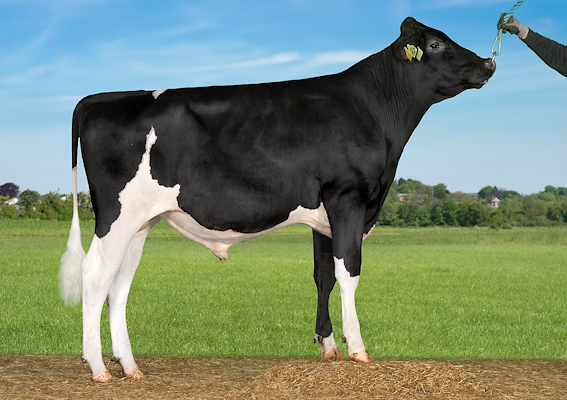 VH Sub RC (VH Skills) (1).jpg