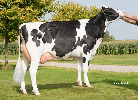 Mor til VH Swat P fra Henrik Graversen, Juelsminde