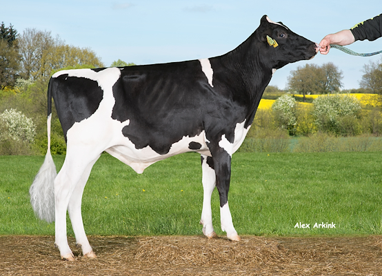 VH Swat P (VH Spy P).jpg