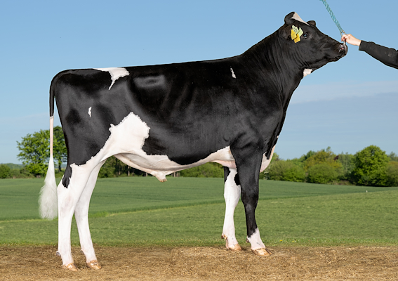 VH Swing RC (VH Selly P).jpg