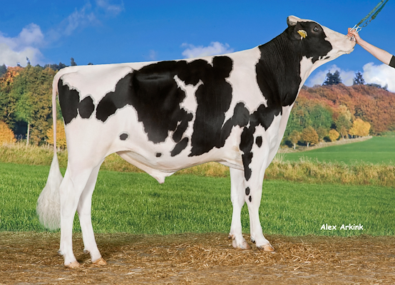 VH Ursus no 256608 (Numero Uno).jpg