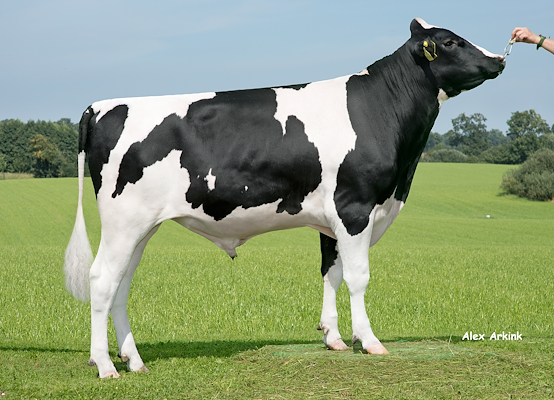 VH Zik PP RC (Zumba) 571905.jpg