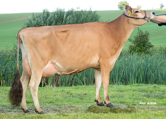 Mor til VJ Alaphil fra Jørn Mikkelsen, Hinnerup