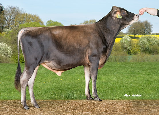 VJ Bonne (VJ Juris).jpg