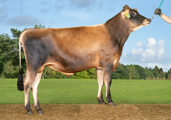 VJ Caicedo (VJ Chicago).jpg