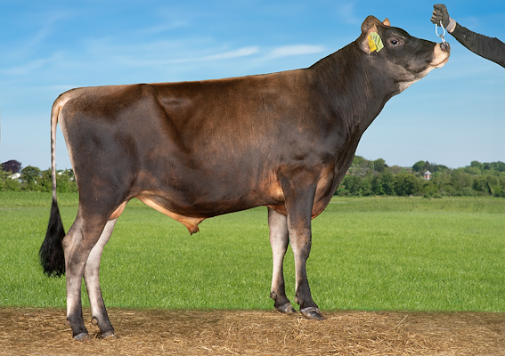 VJ Carter (VJ Change).jpg