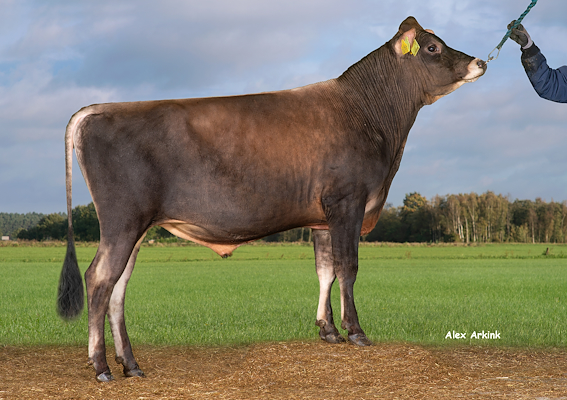 VJ Dalin (VJ Dance).jpg