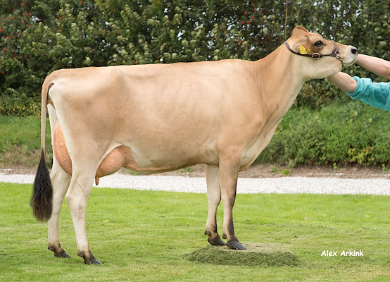 Mor til VJ Daryl fra Jørn Mikkelsen, Søften