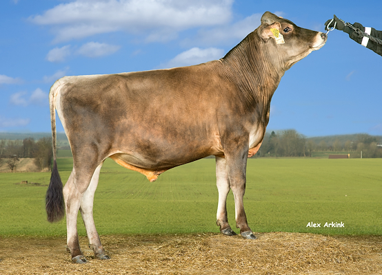 VJ Daryl (VJ Dee).jpg