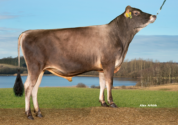 VJ Domea P (VJ Dan P).jpg