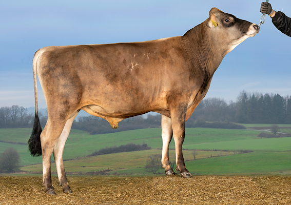 VJ Dot (VJ Danka).jpg