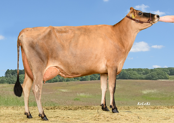 VJ Gates datter fra Lars Stenbek, Næstved