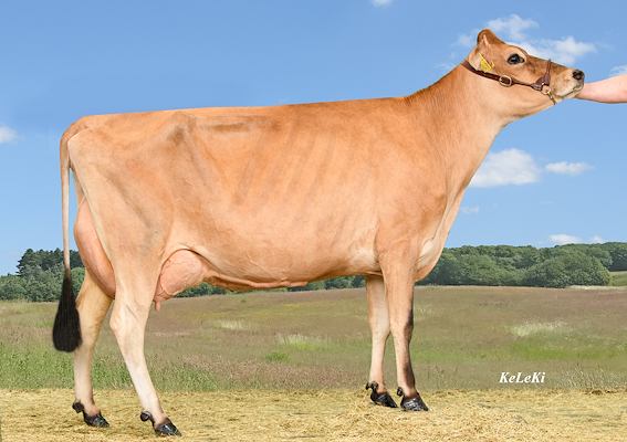 VJ Gates datter fra Ågården v. Thomas Poulsen, Mern