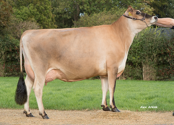 Mor til VJ Gates fra Juulsgaard v/Niels Ulrik Andersen, Nr Aaby