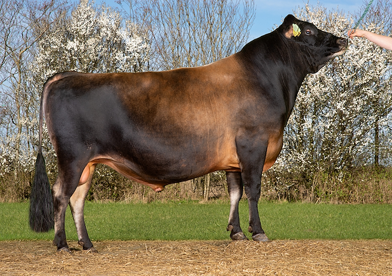 VJ Gates (VJ Gislev) 304544.jpg