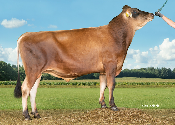 VJ Glux (VJ Gutz).jpg