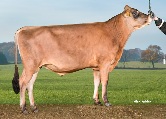 VJ Gulag (VJ Gurre).jpg