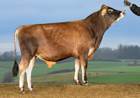 VJ HeldisP (VJ Hempel).jpg