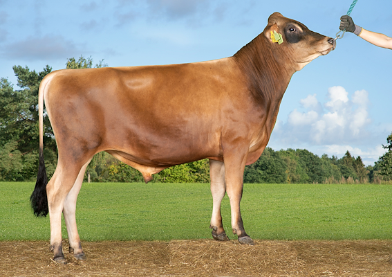 VJ Herbie (VJ Hempel).jpg