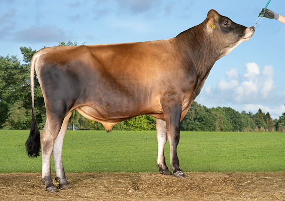 VJ Hex (VJ Hempel).jpg