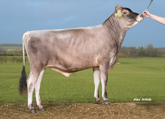 VJ Hicke (VJ Hoj) 304414.jpg