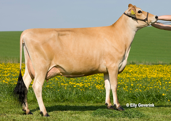 VJ Hilario-datter fra Juulsgaard v/Niels Ulrik Andersen, Nr Aaby