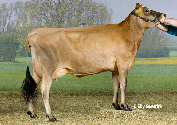 VJ Hilario-datter fra Peter Baungaard Sørensen, Egtved