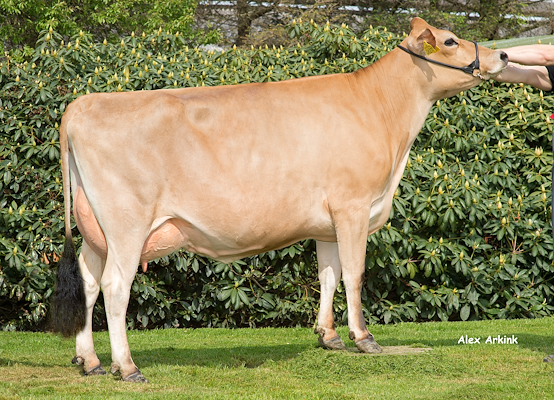 VJ Hilario-datter fra Alstrup I/S, Brønderslev