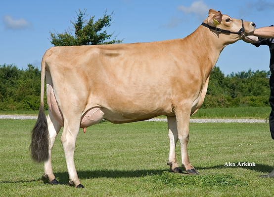 VJ Hilario-datter fra Michael Bak Hansen, Hjørring