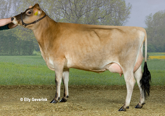 VJ Hilario daughter no 46607-3563 from Jacob Nielsen, Grindsted.jpg