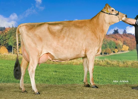 VJ Hilario-datter fra Laurids Lund, Ribe