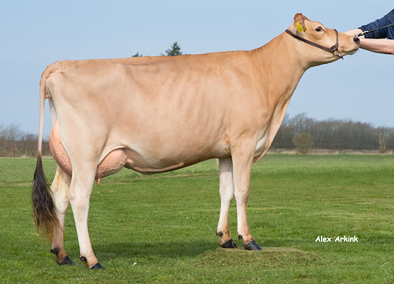 VJ Hilario-datter fra Vagn Lindy Petersen, Skjern