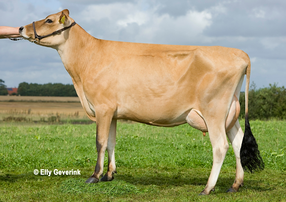 VJ Hilario-datter fra Jan Pedersen, Aars