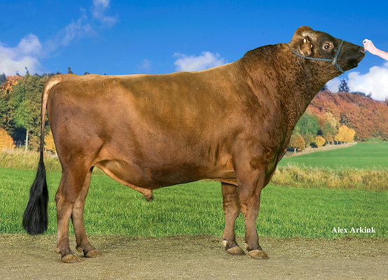 VJ Hillario (Q Hirse) 303406.jpg