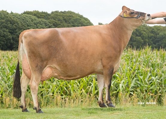 Mor til VJ Hitman fra Anders Levring, Fjellerup