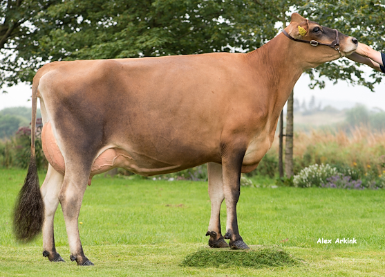 VJ Hitman datter fra Jørgen Kjølby, Hjørring