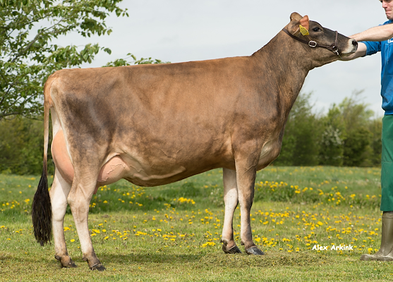 VJ Hitman datter fra Vagn L. Petersen, Skjern