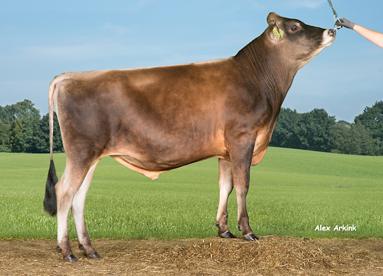 VJ Hitman (VJ Hian) 304254.jpg