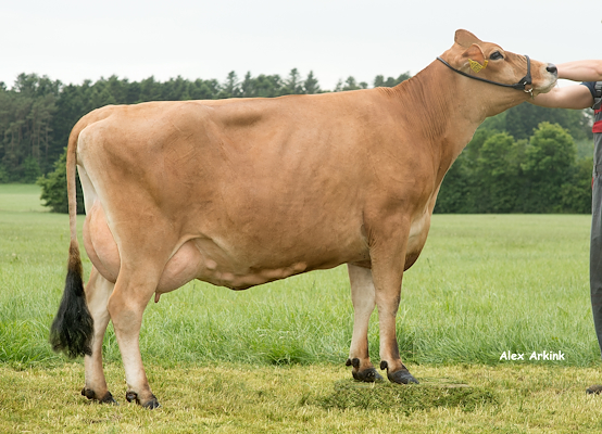 Mor til VJ Hjorri fra Høholt v/Morten Jensen, Hjørring.