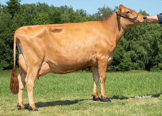 VJ Hjorri-datter fra Lars Beck Hansen, Hobro