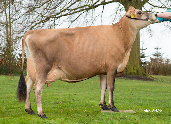 VJ Horst-datter fra Brangstrup Damgård A/S, Nr Aaby