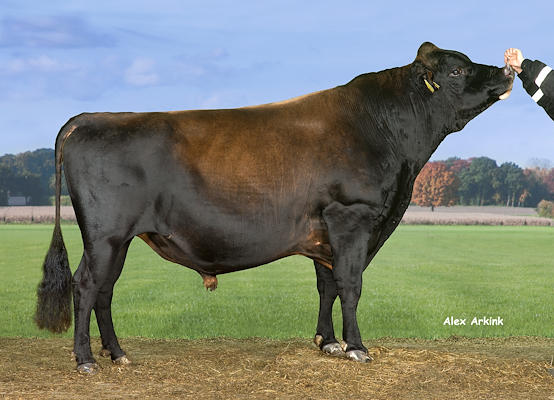 VJ Horst (DJ Hulk) 303706.jpg