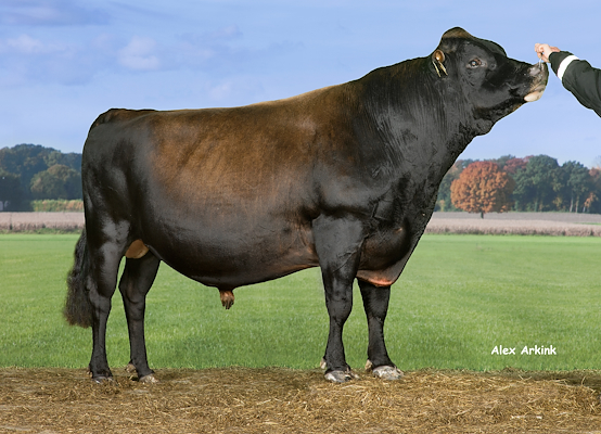 VJ Horst (DJ Hulk)front 303706.jpg