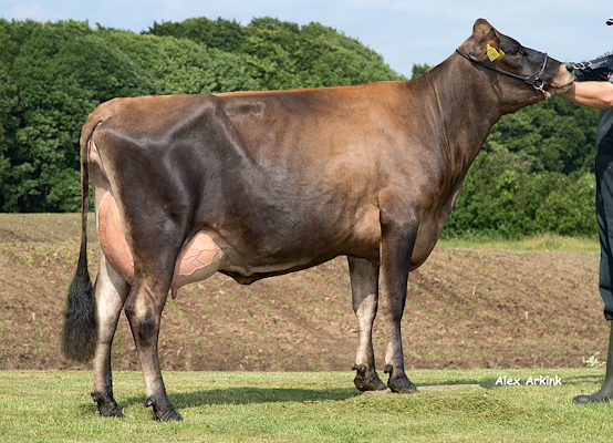 VJ Janko-datter fra Anders Levring,Glesborg